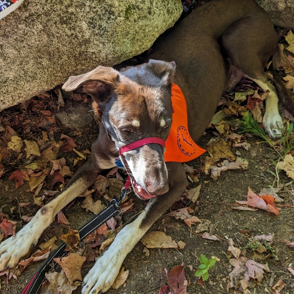 Assorted Items - Picture 6 of 6